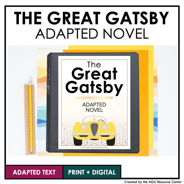 The Great Gatsby | Adapted Novel | Special Education