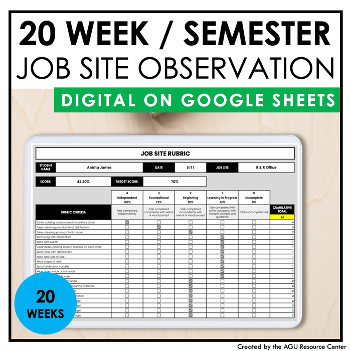 Job Site Observations | 20 Week / Semester | Digital in Google Sheets