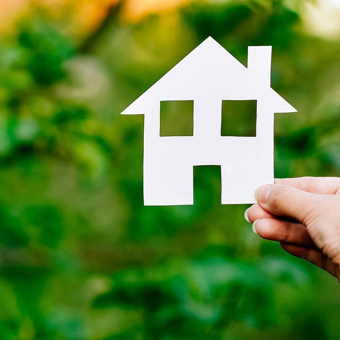 Searching for Housing Options