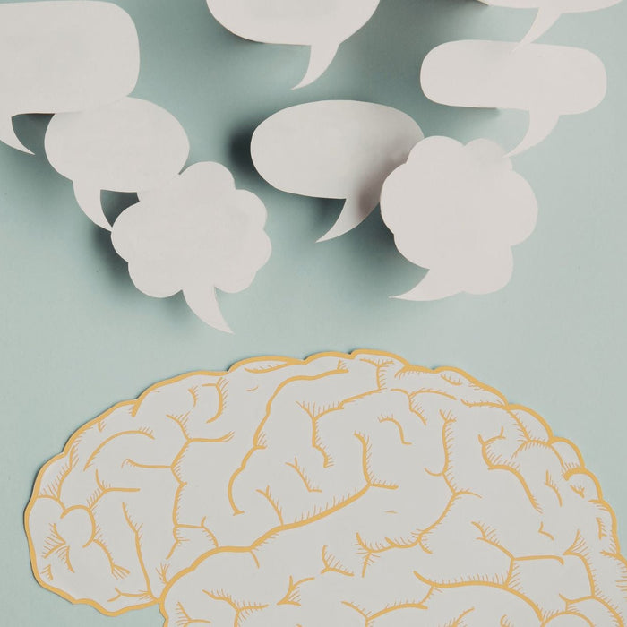 Illustration of a paper-cut style brain with multiple blank speech bubbles floating above it on a soft blue background. The image represents communication, ideas, or thinking processes.