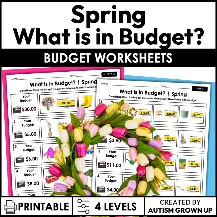Spring Budget | Life Skills Worksheets for Special Education