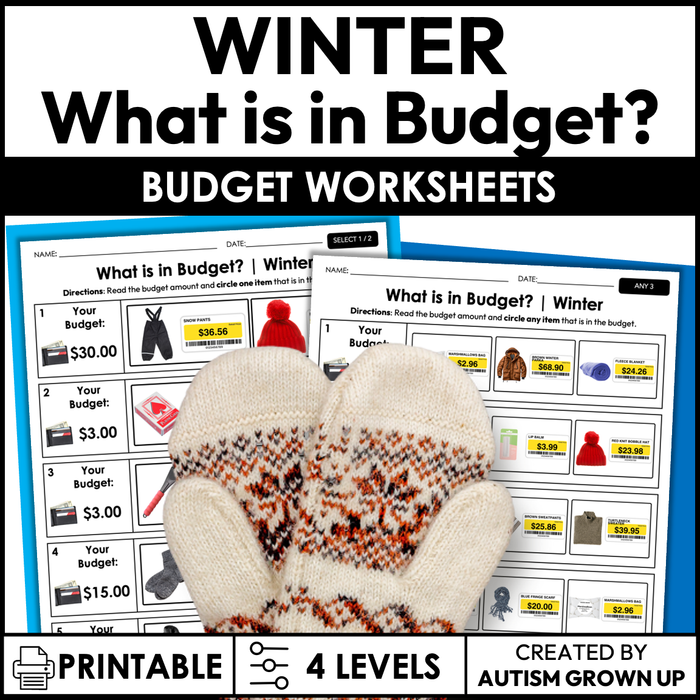 Winter Budget Worksheets for Special Education