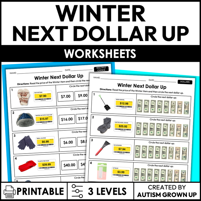 Winter Next Dollar Up | Life Skills Worksheets for Special Education