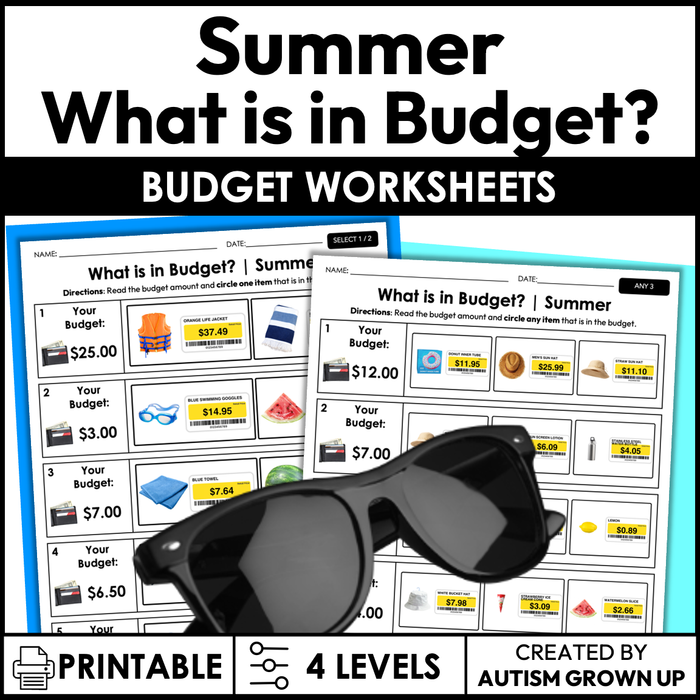 Summer Budget | Life Skills Worksheets for Special Education