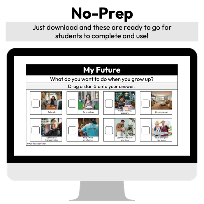 Student IEP Input Digital Activity