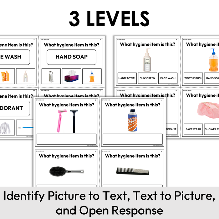 Hygiene Items | Identify Task Cards | Special Education