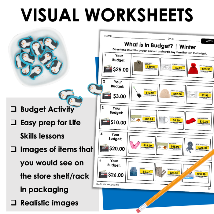 Winter Budget Worksheets for Special Education