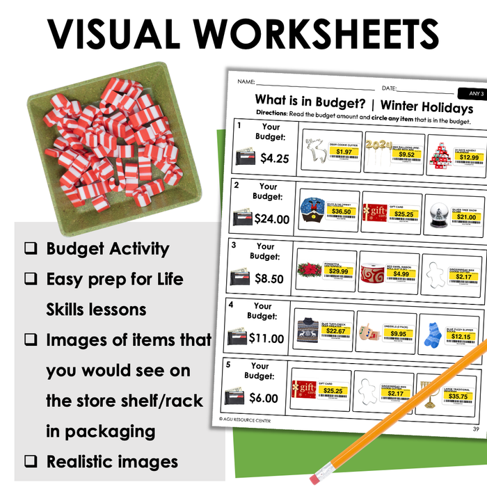Winter Holidays Budget Worksheets for Special Education