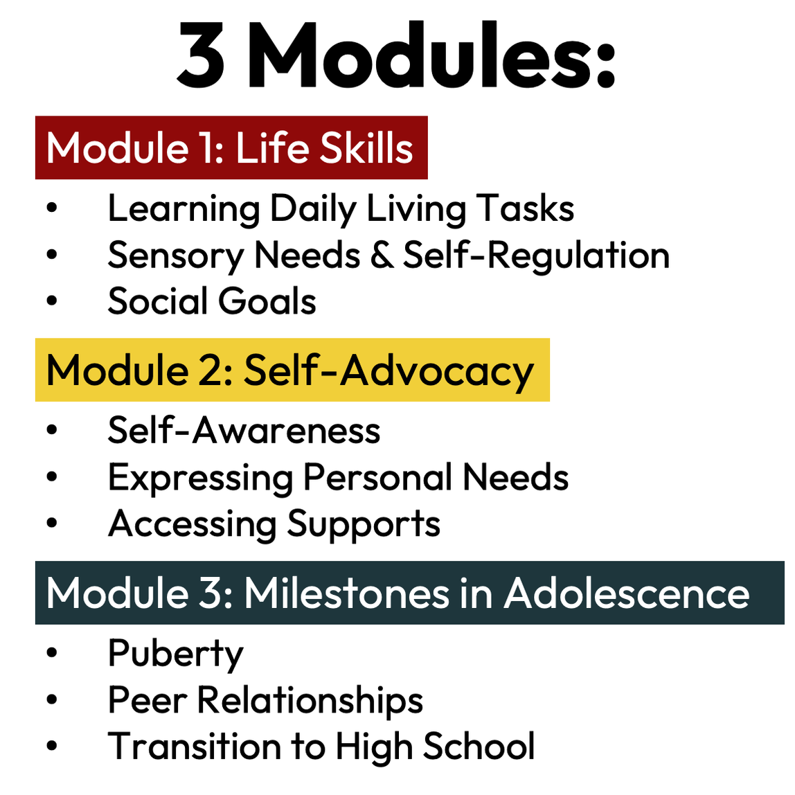 Foundation to Transition Planning — Autism Grown Up
