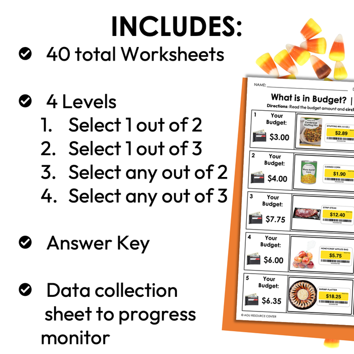 Thanksgiving Budget Worksheets for Special Education